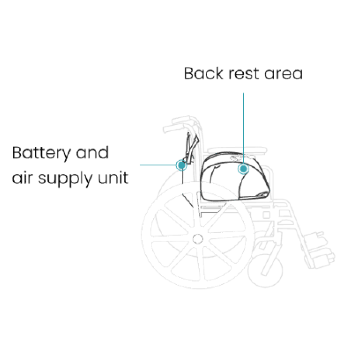 Screenshot-2024-07-17-at-1.31.08 PM-1200x1200